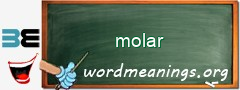 WordMeaning blackboard for molar